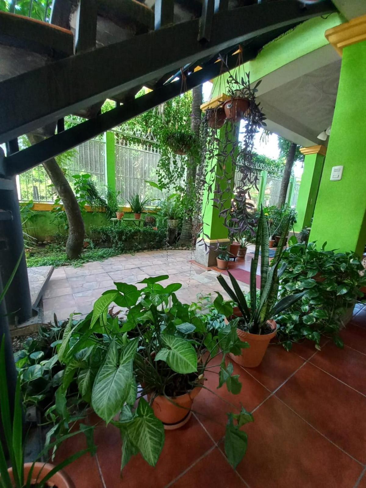 Hostal San Antonio León Exteriér fotografie